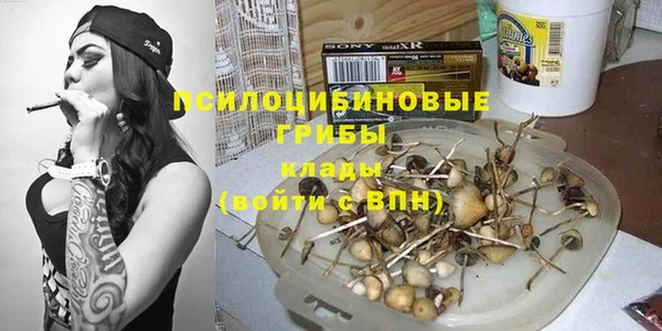 стафф Алзамай