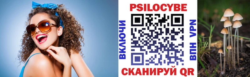 Псилоцибиновые грибы GOLDEN TEACHER Бокситогорск